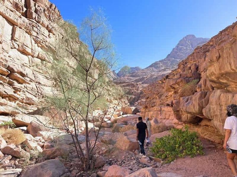 Montagne Qattar à Hurghada : 4x4 et observation des étoiles