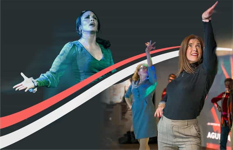 Billet Malaga : Cours de flamenco à 16h + 1 heure de spectacle, 3 tapas et une boisson