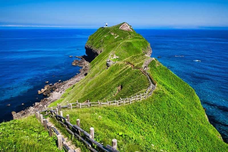 Billet Au départ de Sapporo : Excursion d'une journée sur les sites incontournables de Hokkaido