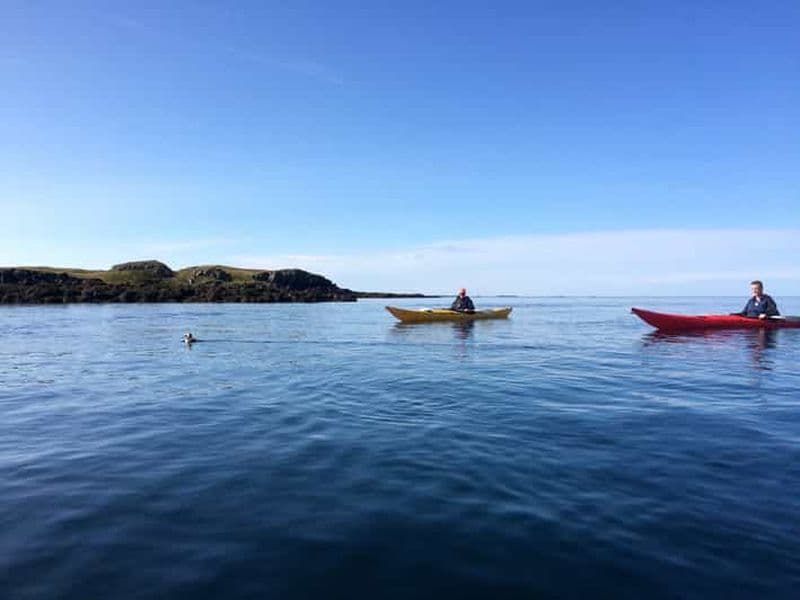 Billet Stykkishólmur : excursion de 2 heures en kayak de mer