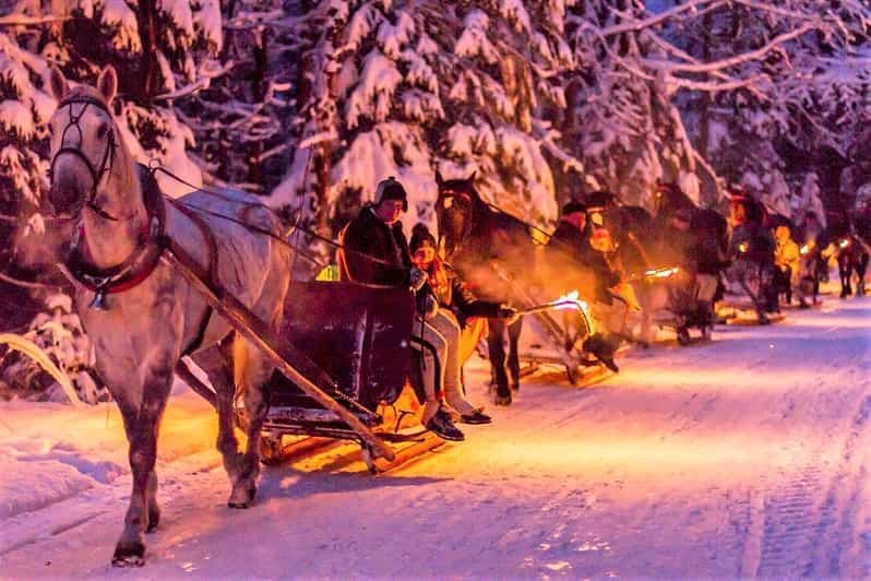 Fram Kraków : Promenade en traîneau dans les Tatras à Zakopane
