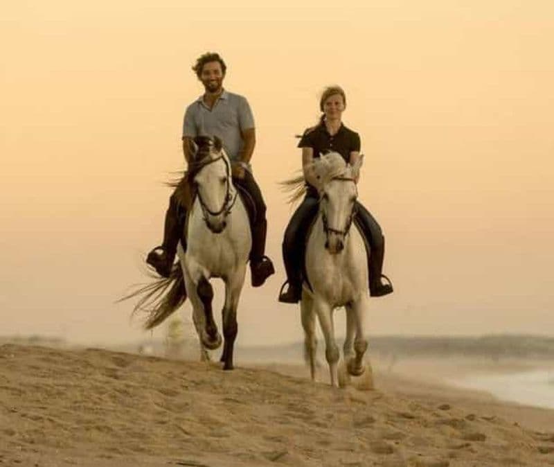 Visite guidée à cheval au Qatar : une promenade à travers le patrimoine