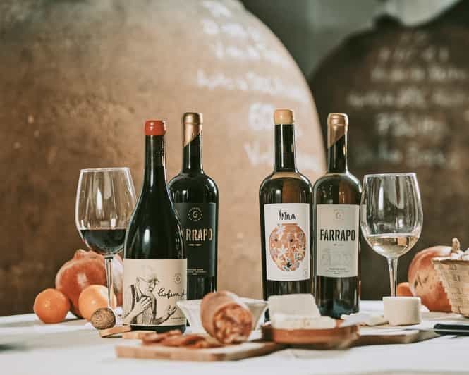 Alentejo : visitez et dégustez la tradition des vins de Talha