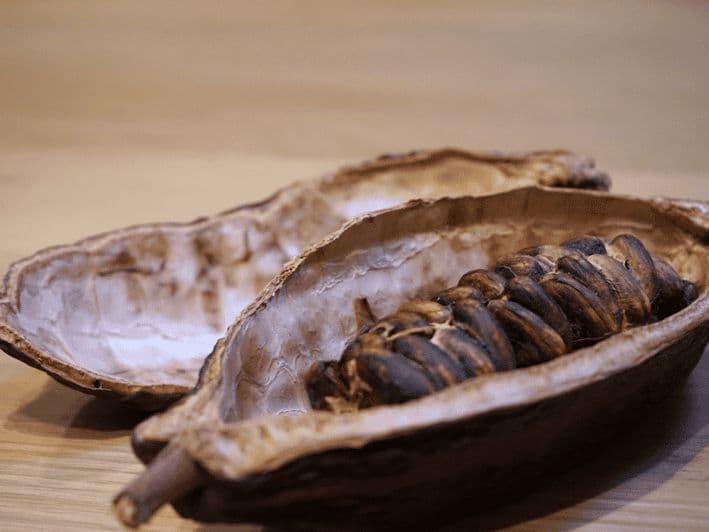 Dégustation de chocolat fin à Turin