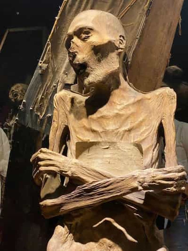 Billet Guanajuato : Culture & History visite guidée privée - Excursion d'une journée