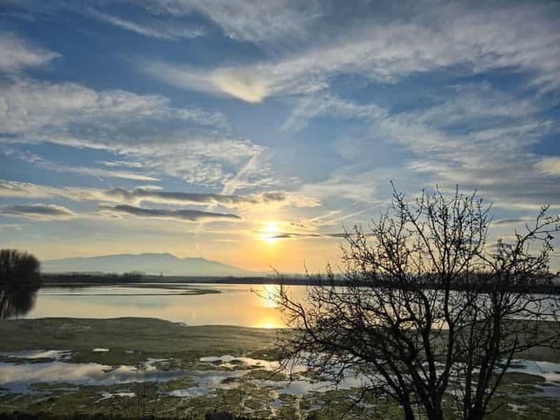 Montes del Cierzo : Excursion en Buggy