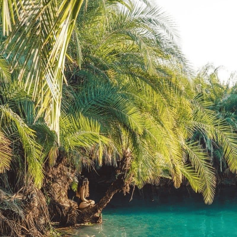 Billet 3 jours : cascade de Materuni, sources chaudes de Chemka et lac Eyasi