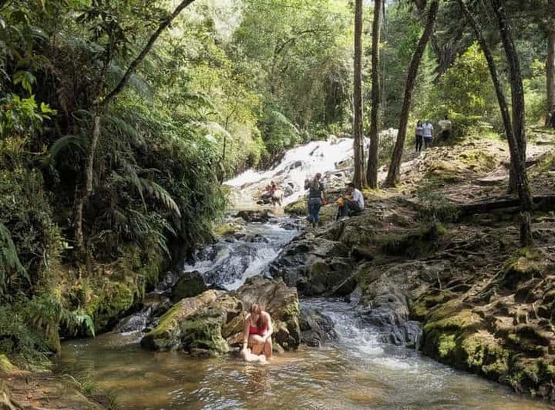 Billet Visite à pied d'Arví et trajet en téléphérique