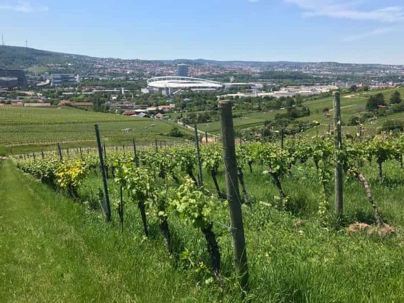 Stuttgart : visite des vignobles avec les vins des meilleurs viticulteurs