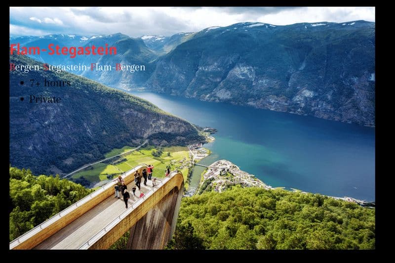Billet Excursion privée d'une journée à Flam-Stegastein-Village viking
