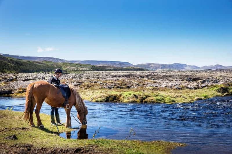 Billet Hafnarfjörður : excursion à cheval dans la région de Reykjavík