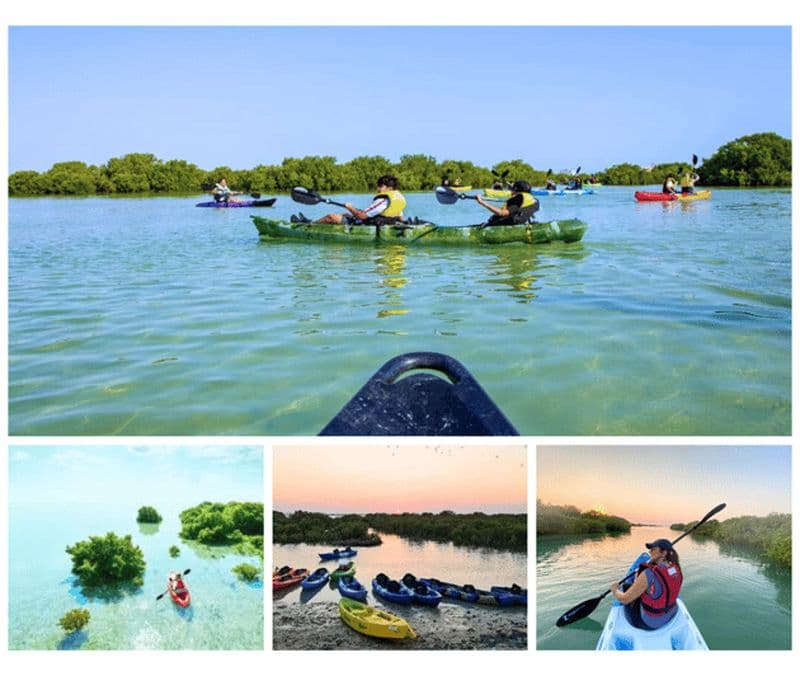 Qatar : Excursion en kayak dans la forêt de mangroves d'Al Thakira