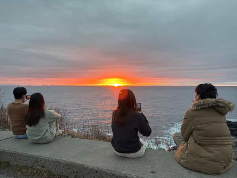 Billet Svolvær : visite guidée d'une journée dans les îles Lofoten