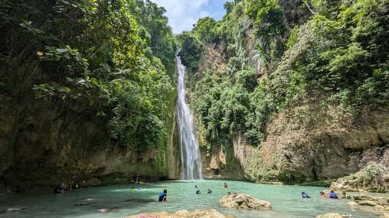Billet Moalboal Sardine Run, Sea Turtle et chutes de Mantayupan