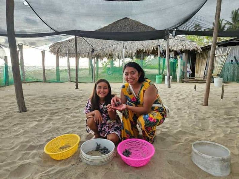 Billet Zihuatanejo : Libération de tortues à Playa Blanca