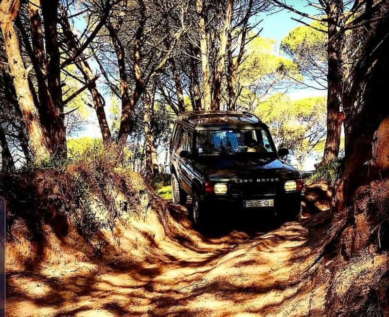 Billet Depuis Cesarò : Excursion d'une demi-journée en 4x4 dans le parc des Nebrodi