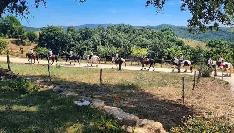 Billet Fattoria Tègoni : randonnées à cheval en Toscane