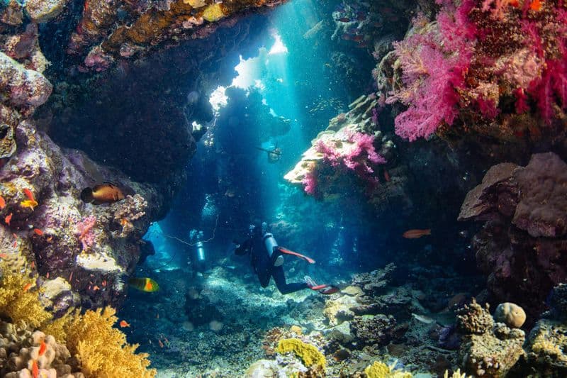 Plongée sous-marine à Nice