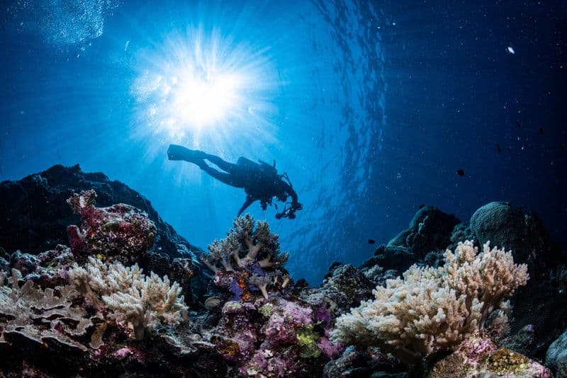 Plongée sous-marine à Tenerife