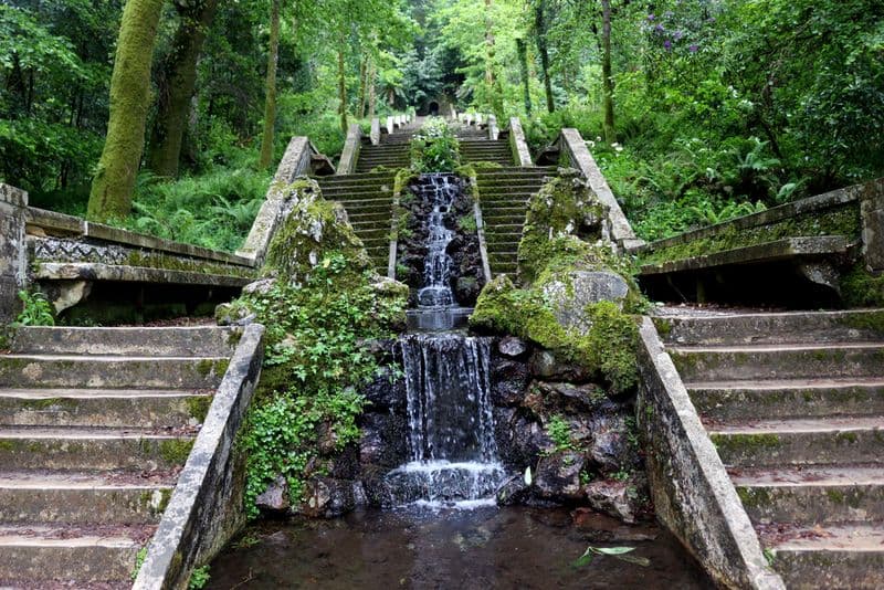 Forêt de Buçaco
