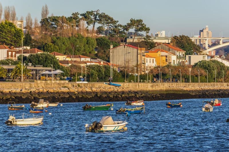 Foz do Douro