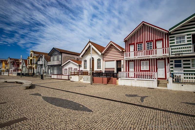 Casas Típicas da Costa Nova