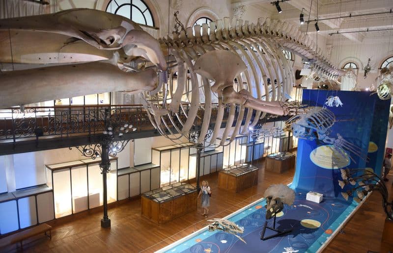 Musée océanographique de Monaco