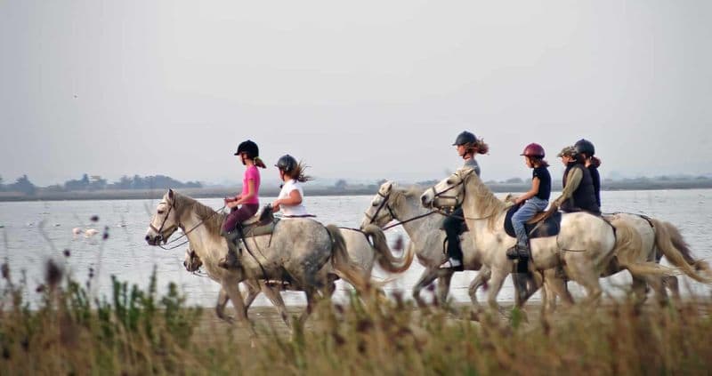 Balade à cheval en Camargue