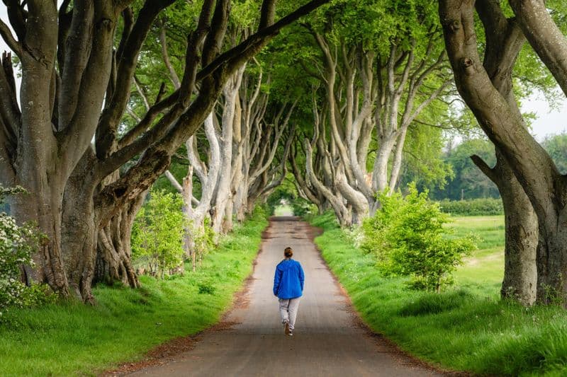 Les Dark Hedges