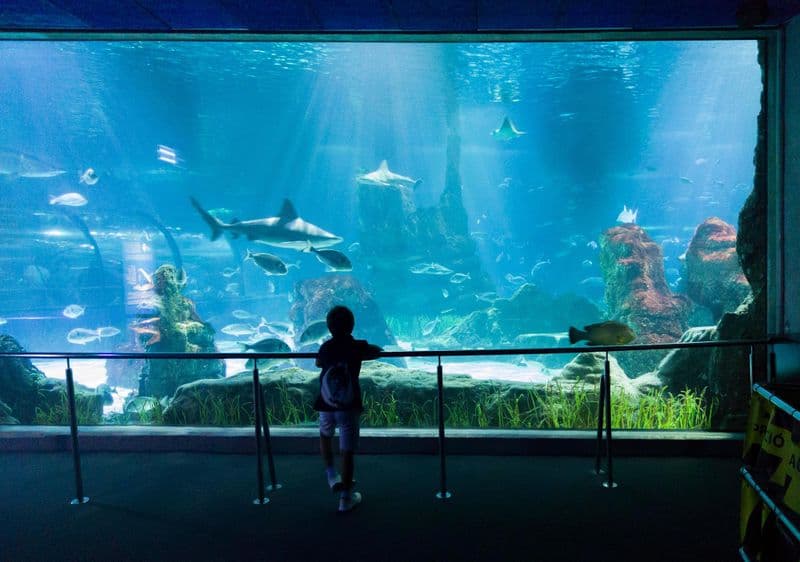 Aquarium de Barcelone