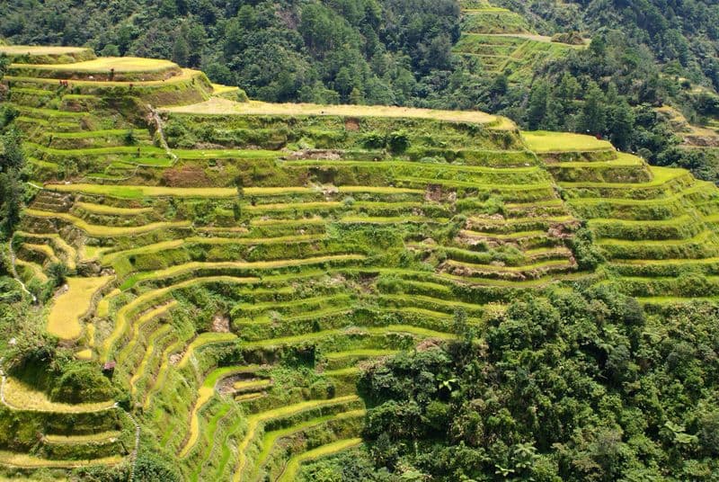 Rizières en terrasses de Banaue
