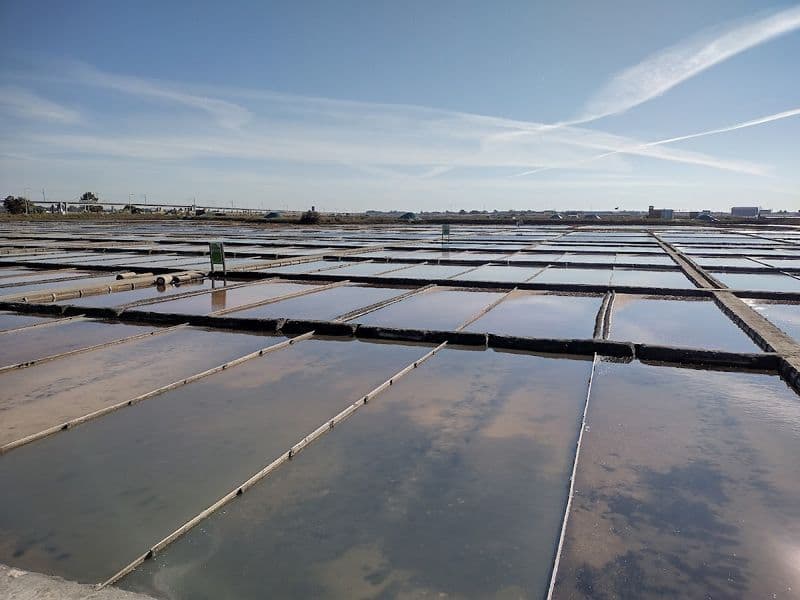 Saline de Aveiro