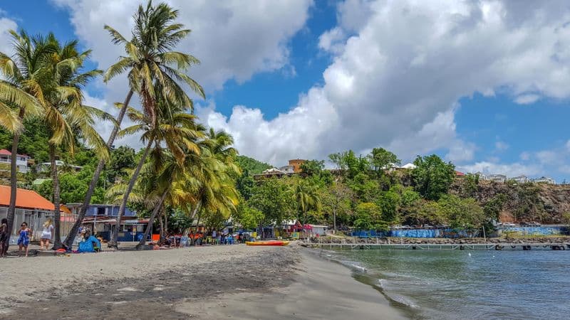 Plongée sous-marine à la Réserve Cousteau