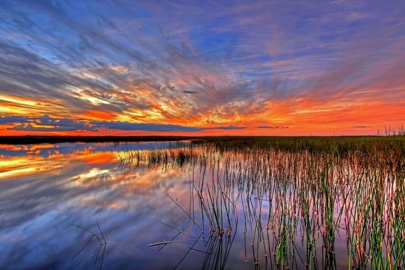 Parc national des Everglades