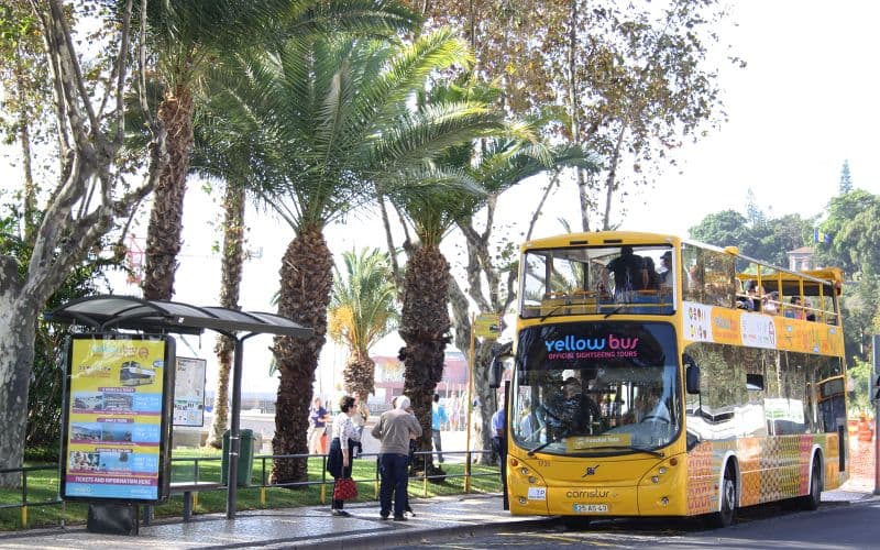 Billet Yellow Bus Madeira : Funchal & Câmara de Lobos Hop-On Hop-Off bus tour en bus bus Hop-On Hop-Off avec observation des baleines et des dauphins.