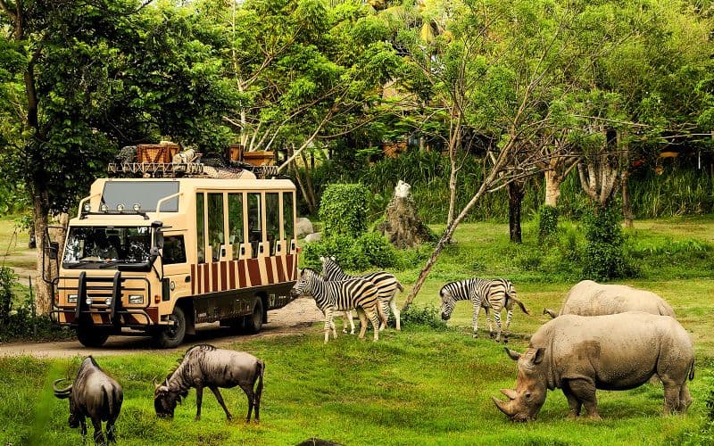 Billets pour le safari à Bali