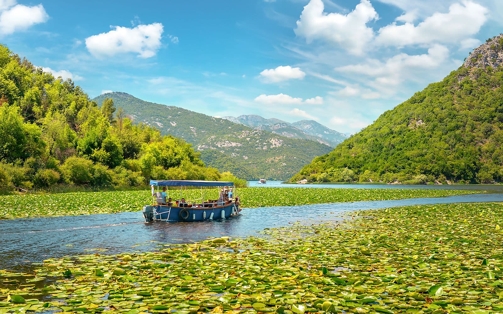 Billet Depuis Virpazar : Tour en bateau du lac Skadar et Forteresse de Grmožur avec boissons