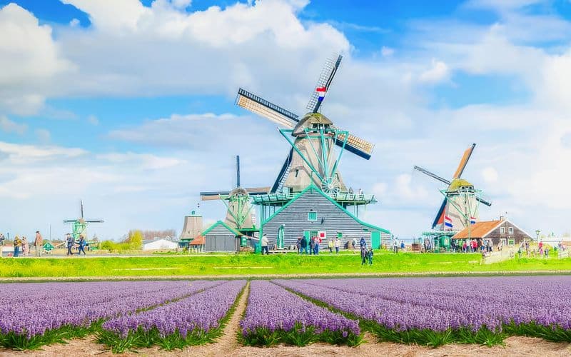 Billet À partir d'Amsterdam : Zaanse Schans, Volendam, Edam et Marken - Visite guidée d'une demi-journée