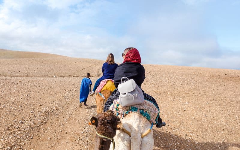 Demi-journée de safari dans le désert d'Agafay avec balade à dos de chameau ou en quad et thé marocain