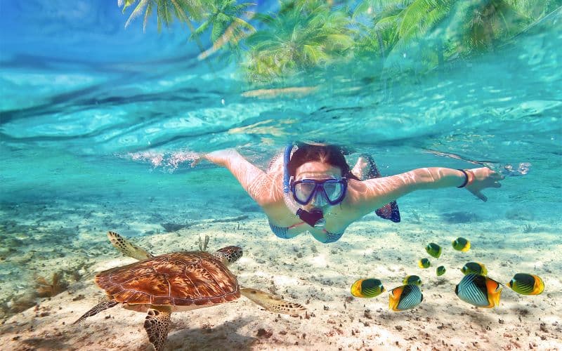 Private Bali Snorkeling Blue Lagoon & Tanjung Jepun