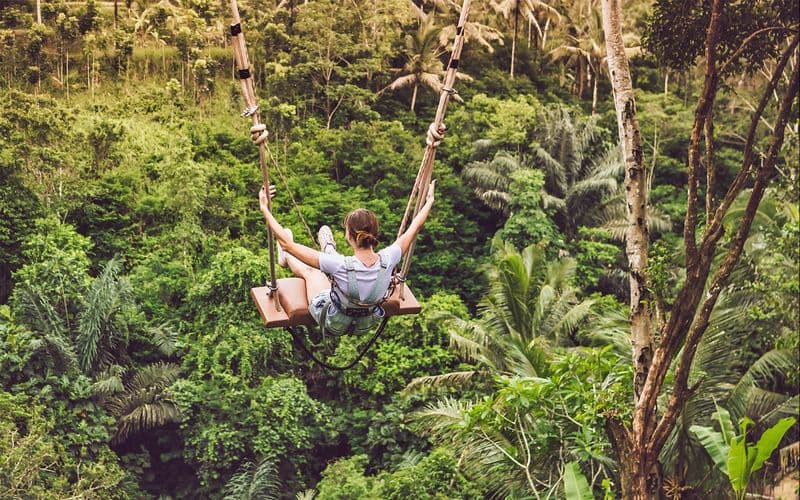Billet Excursion d'une journée complète à Bali sur Instagram : Temple de Lempuyang, chute d'eau de Goa Rajah et plus encore