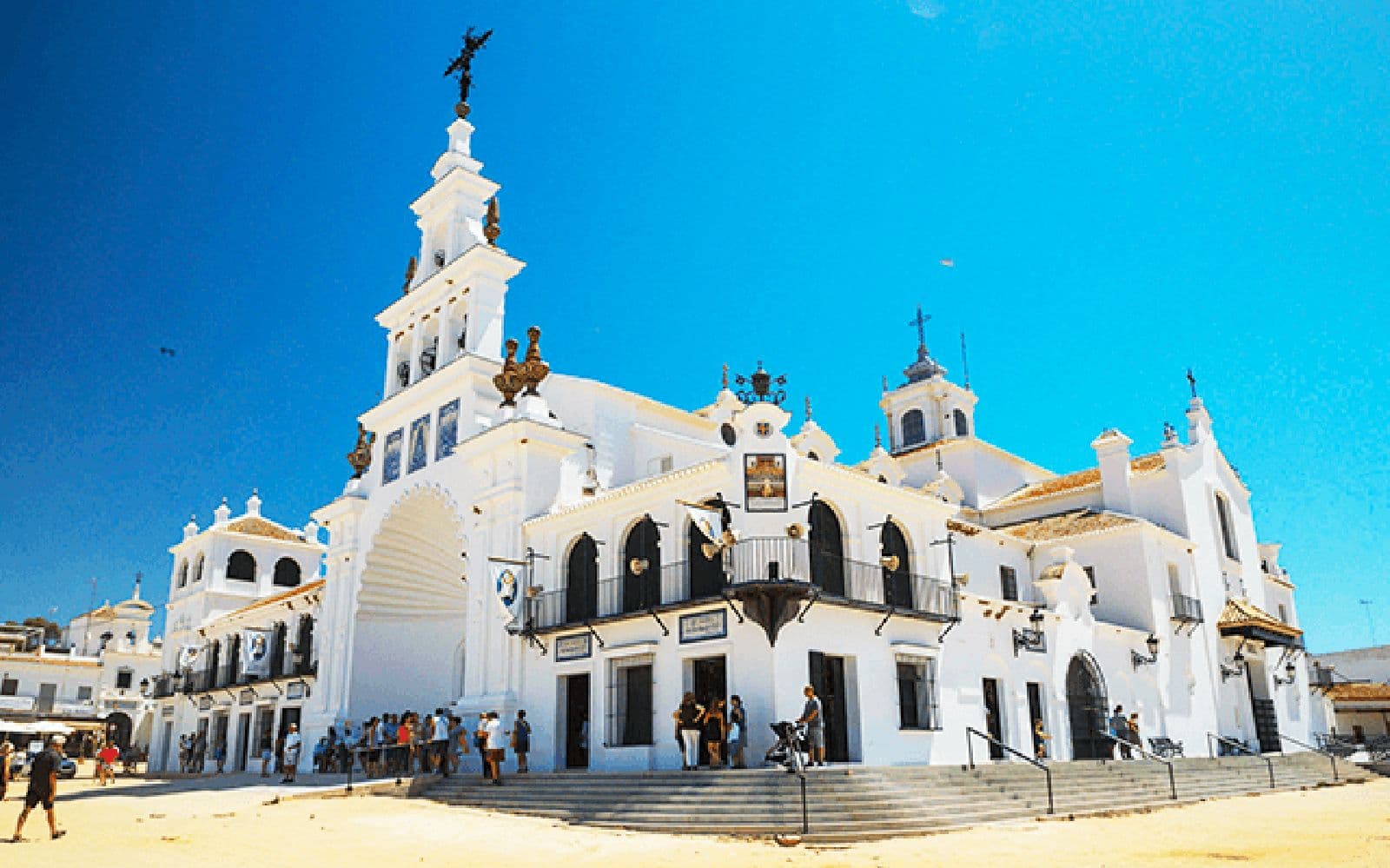 Billet Excursion d'une journée dans le parc national de Doñana depuis Séville