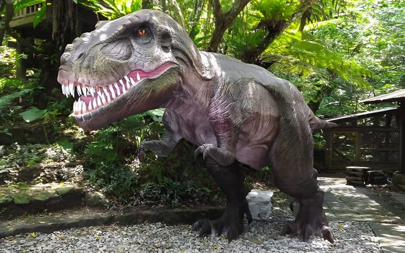 Billet d'entrée pour le Dino Park dans la forêt tropicale de Yanbaru à Okinawa