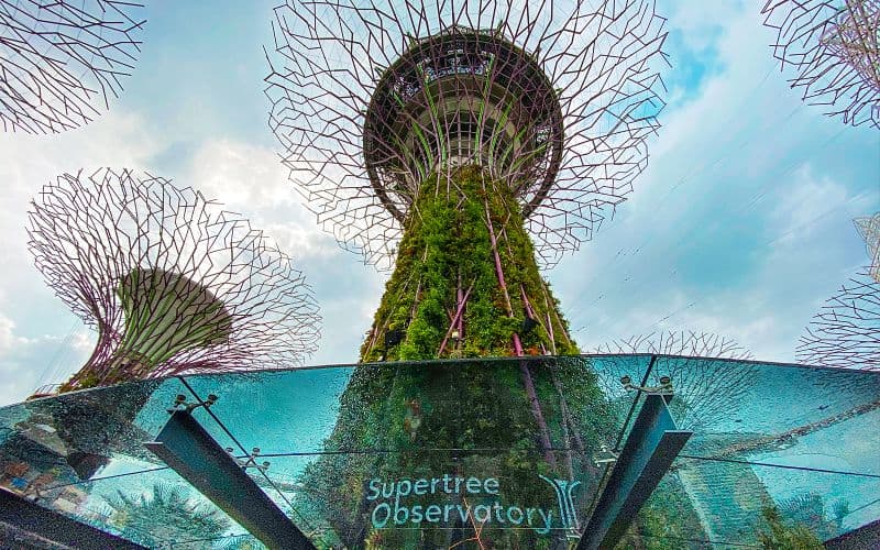 Billet Billets pour Gardens by the Bay : Cloud Forest (Jurassic World Experience) + Flower Dome + Supertree Observatory