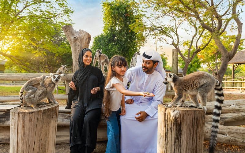 Billet Billets pour le Dubai Safari Park avec Explorer Safari & Shuttle Train
