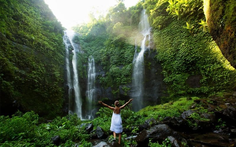 Billet Visite en petit groupe de la cascade et du temple de Sekumpul : Ulun Danu Bratan, Temple Taman Ayun