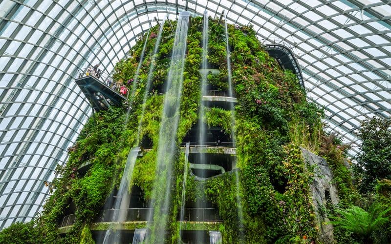 Billet Billets pour Gardens by the Bay : Cloud Forest (Jurassic World Experience) + Flower Dome