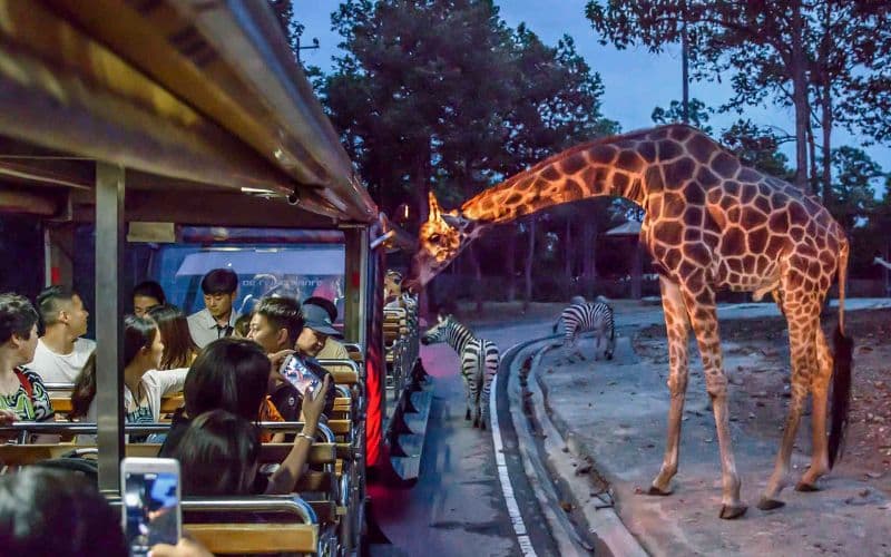 Billets pour le safari nocturne de Chiang Mai avec navettes : Non-résidents thaïlandais