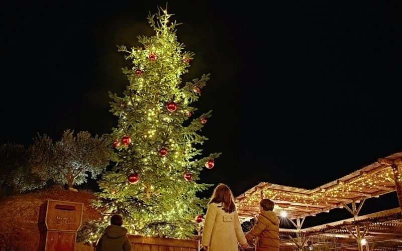 Billet Billets 1 jour Puy Du Fou España à Noël