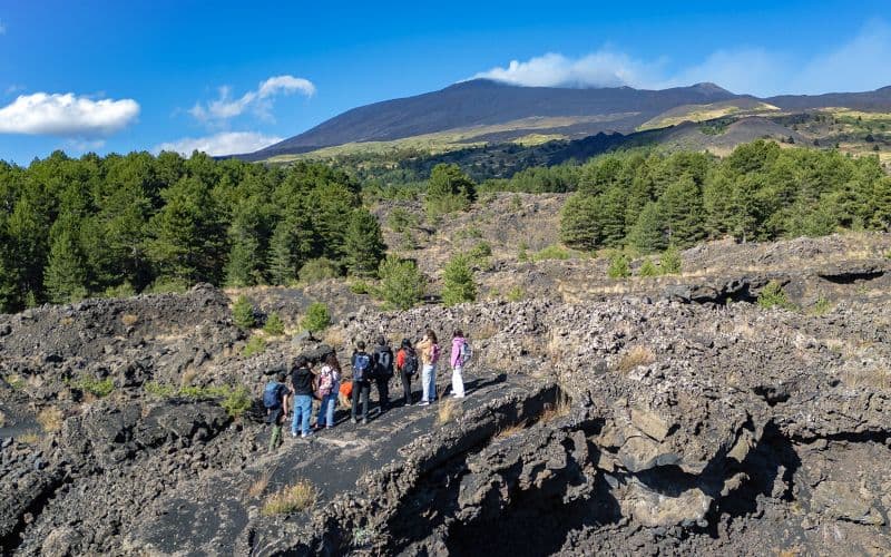 Billet Au départ de Catane : visite des cratères du sommet de l'Etna avec navettes aller-retour